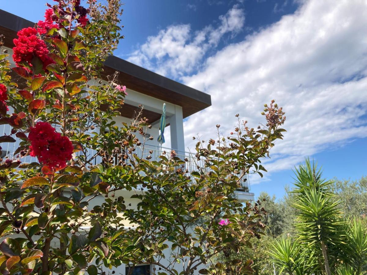 Bed and Breakfast Gioia In Collina Torrevecchia Teatina Екстер'єр фото
