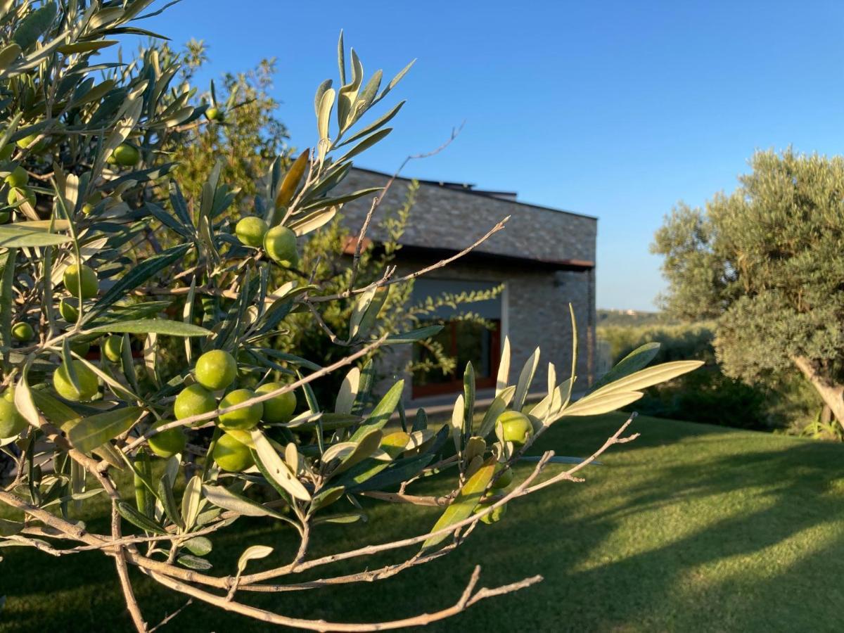Bed and Breakfast Gioia In Collina Torrevecchia Teatina Екстер'єр фото
