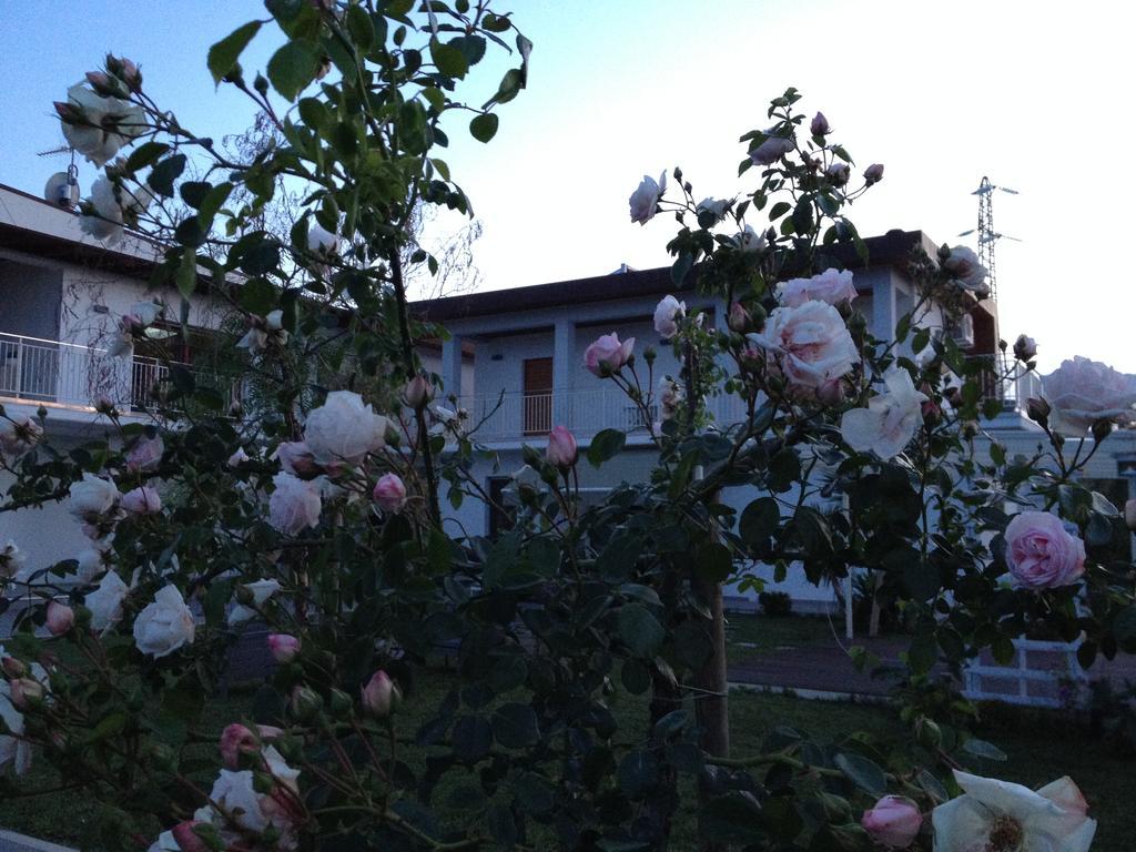 Bed and Breakfast Gioia In Collina Torrevecchia Teatina Екстер'єр фото